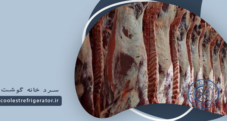 سردخانه گوشت ارزان قیمت 